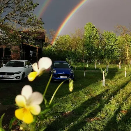 Venkovský dům Polovraga - Cu Ciubar